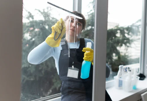 Nettoyage de vitres intérieures et extérieures à Vallenay